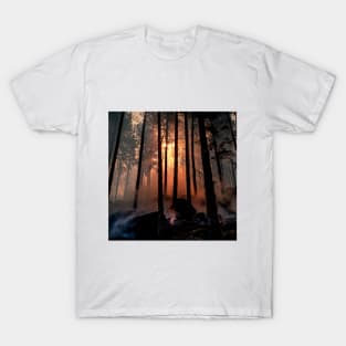 SCENERY 84 - Sunset Forest Tree Silhouette Natural Environment T-Shirt